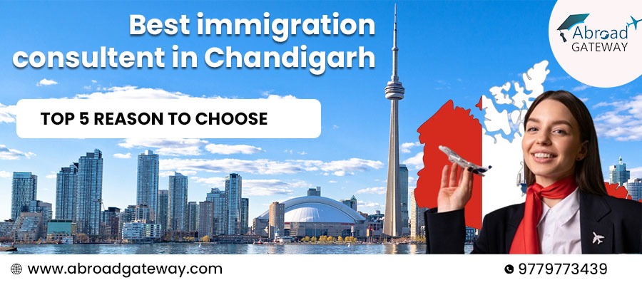 best immigration consultants in chandigarh